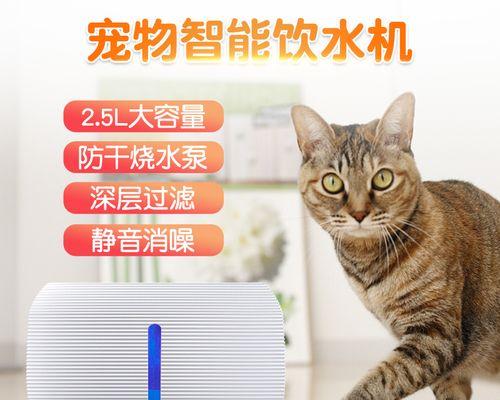 猫咪喝水四周都是水怎么办？如何防止溢水？