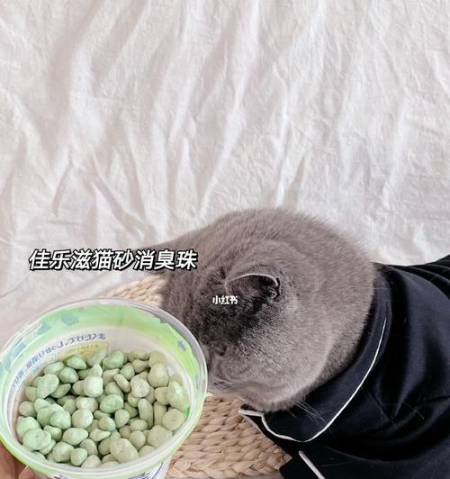 猫咪化毛罐头哪种好？如何选择适合宠物的化毛食品？