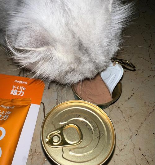 猫咪化毛罐头哪种好？如何选择适合宠物的化毛食品？