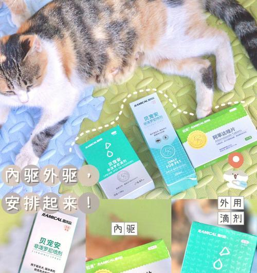 猫咪怀孕期间需要购买哪些药物？常见问题解答？