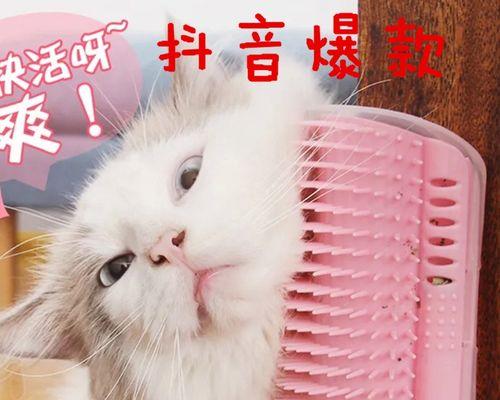 猫咪几岁开始使用猫抓板？如何选择合适的猫抓板？