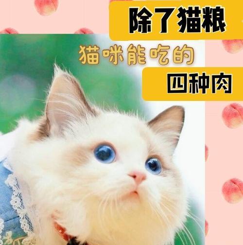 猫咪钾含量为什么高？高钾对猫咪健康有何影响？