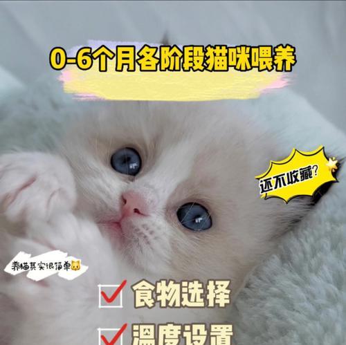 猫咪可以喂什么牛奶？牛奶对猫咪健康的影响是什么？