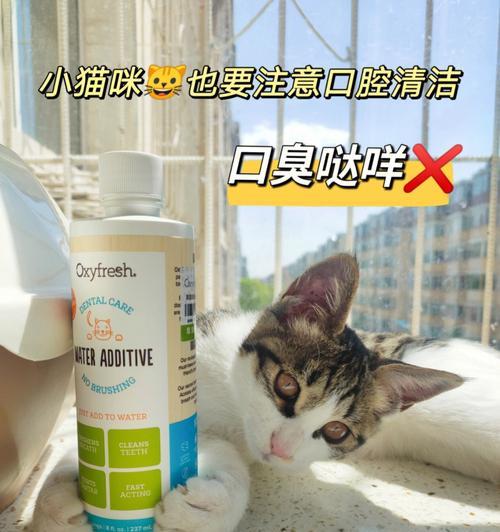 猫咪可以注射酒精吗？注射酒精对猫咪有什么影响？