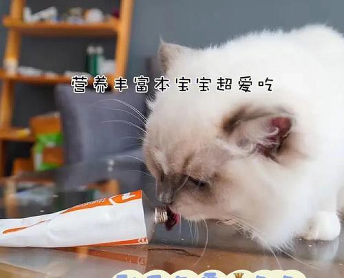 猫咪拉稀只吃营养膏怎么办？如何恢复正常饮食？