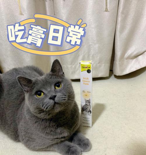 猫咪拉稀只吃营养膏怎么办？如何恢复正常饮食？