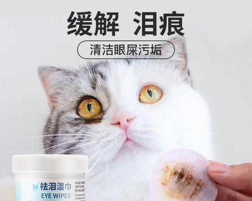 猫咪泪痕眼皮上有硬怎么办？可能的原因和解决方法是什么？