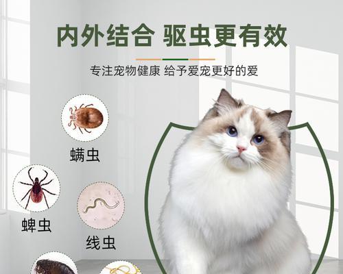 猫咪猫跳蚤怎么治疗？有效防治方法有哪些？