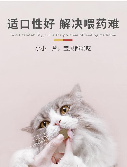 猫咪尿道口有分泌物怎么办？如何进行家庭护理和治疗？