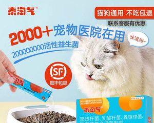 猫咪呕吐了怎么办？选择哪种药物最有效？