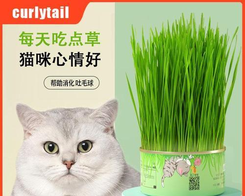 猫咪呕吐了怎么办？选择哪种药物最有效？