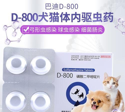 猫咪如何正确使用体内驱虫药？常见问题有哪些？