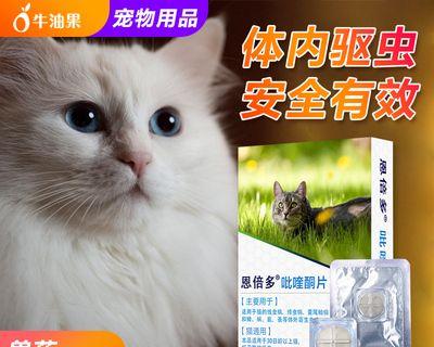 猫咪如何正确使用体内驱虫药？常见问题有哪些？