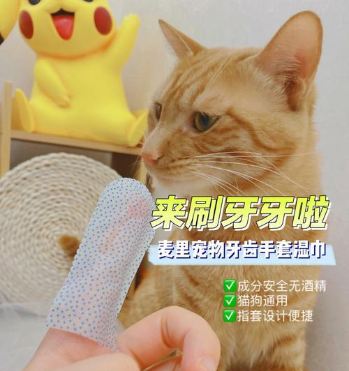 猫咪刷牙用什么牙刷？如何选择合适的猫咪牙刷？