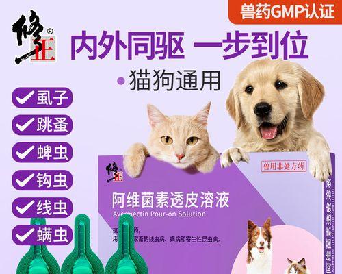 猫咪从四楼摔下后应该使用哪种药物治疗？