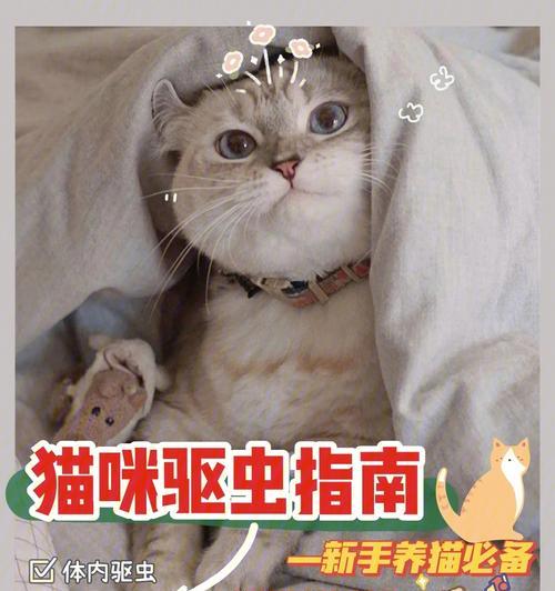 猫咪体内驱虫需要几天才能完成？常见问题解答