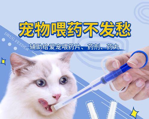 猫咪体内驱虫怎么做？步骤和注意事项是什么？