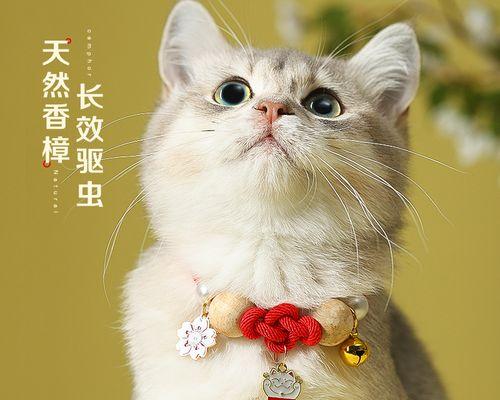 猫咪体内驱虫怎么做？步骤和注意事项是什么？