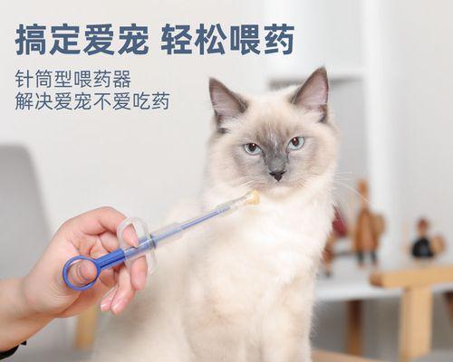 猫咪体内驱虫怎么做？步骤和注意事项是什么？