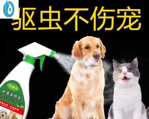 猫咪为什么会生跳蚤？如何有效预防和治疗？