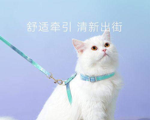 猫咪为什么对绳子情有独钟？探索其背后的原因和行为特点？