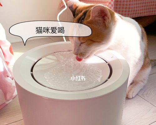 猫咪为什么喜欢使用饮水机？饮水机对猫咪有什么好处？