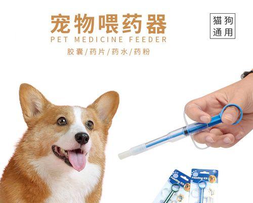 猫咪喂药吐了怎么办？如何正确给猫咪喂药？