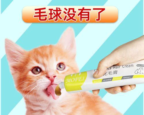 猫咪消化不良怎么办？推荐哪些药物治疗？