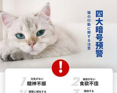 猫咪消化不良怎么办？推荐哪些药物治疗？