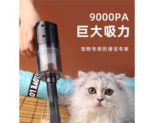 猫咪修毛用什么工具？如何选择合适的猫咪美容工具？