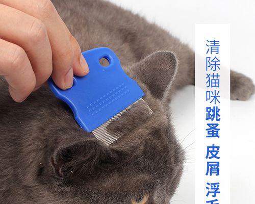 猫咪修毛用什么工具？如何选择合适的猫咪美容工具？