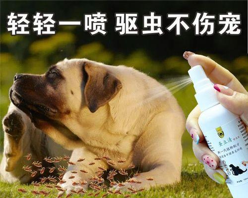 猫咪需要定期驱虫吗？多久一次合适？