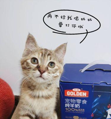 猫咪需要每天喝羊奶吗？羊奶对猫咪健康的影响是什么？