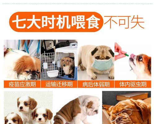 猫咪益生菌兑水比例是多少？正确使用方法是什么？