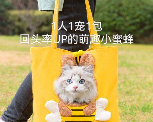 猫咪应该吃些什么药？常见疾病与药物选择指南？