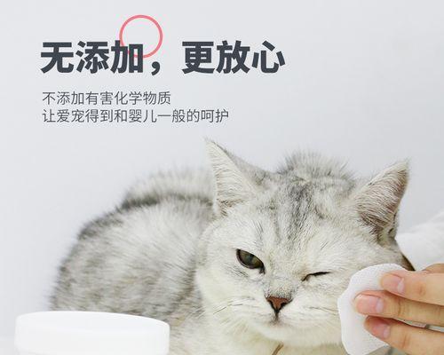 猫咪用什么宠物湿巾？如何选择适合的湿巾品牌和类型？