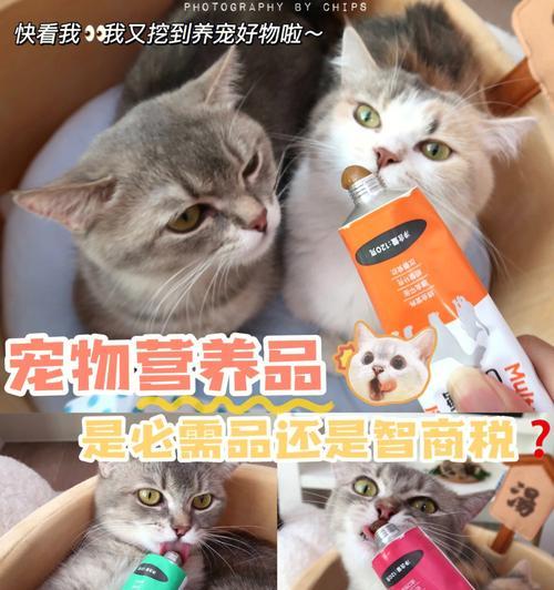 猫咪用什么消炎药膏？如何正确选择和使用？