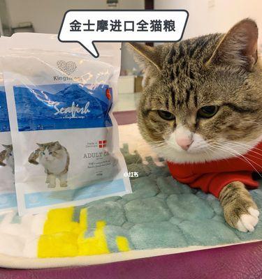 猫咪只吃猫粮怎么办？如何引导猫咪均衡饮食？