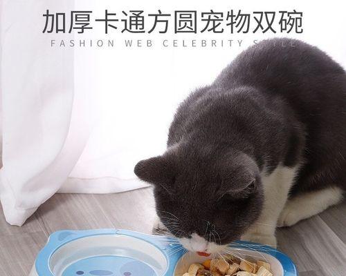 没有猫粮给猫吃什么？替代食物有哪些推荐？