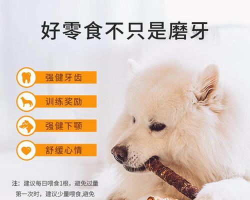 能给狗狗吃什么零食？安全健康的狗狗零食推荐？