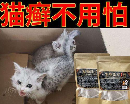 猫咪皮肤病吃什么食物有益？如何选择合适的猫粮？