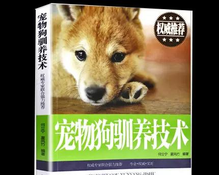 犬的破坏行为是什么？如何有效预防和纠正？