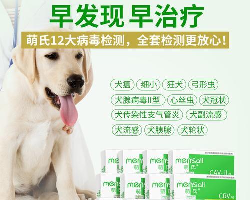 犬瘟热治疗：狗狗应该服用哪些药物？