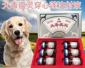 犬瘟热消毒用什么药？有效消毒剂推荐及使用方法？