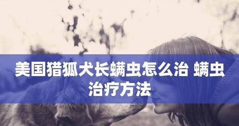 人得犬疥螨怎么治疗？有效治疗方法有哪些？