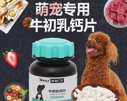 人的钙片小猫能吃吗？宠物健康需注意什么？