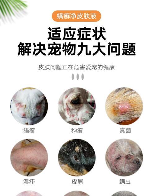 人感染猫癣后应该使用哪种药物治疗？如何正确涂抹？