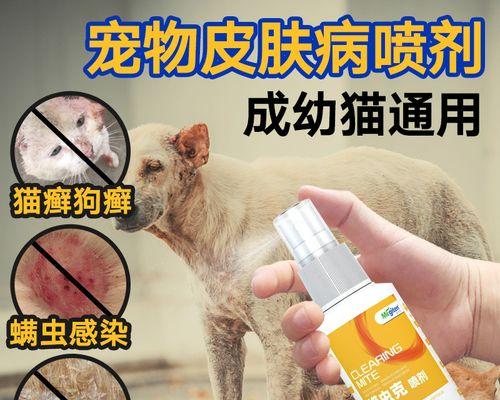 人感染猫癣后应该使用哪种药物治疗？如何正确涂抹？