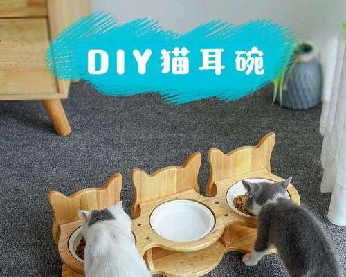 如何让猫妈妈带小猫？有哪些有效的方法和技巧？