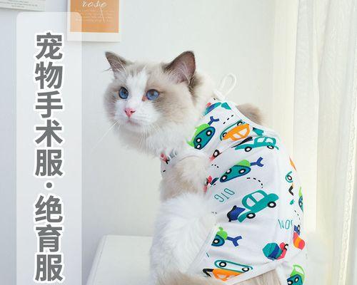 猫咪手术服怎么做？需要哪些材料和步骤？